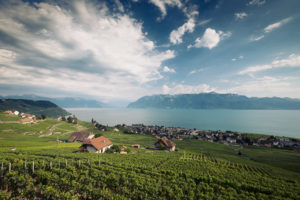 Photographe de mariage vaud