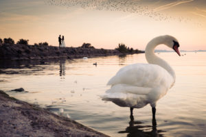 photographe de mariage à Neuchâtel
