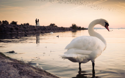 Séance « Day after » au bord du lac de Neuchâtel